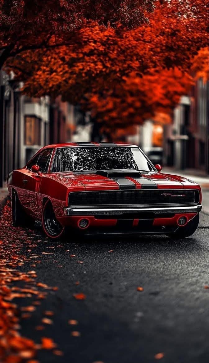 CAR – Premium 3D Acrylic Varnish Poster