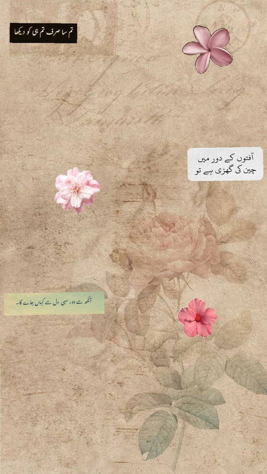 Girls Aesthetic Elegance | 3D Acrylic Wall Poster