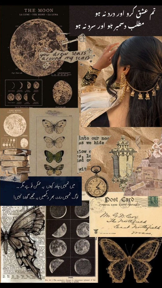 Girls Aesthetic Elegance | 3D Acrylic Wall Poster